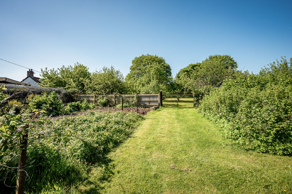 Garden- click for photo gallery